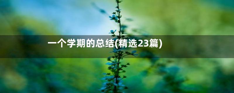 一个学期的总结(精选23篇)