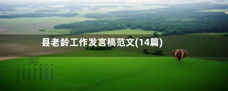 县老龄工作发言稿范文(14篇)