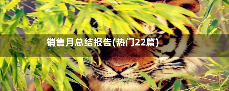 销售月总结报告(热门22篇)