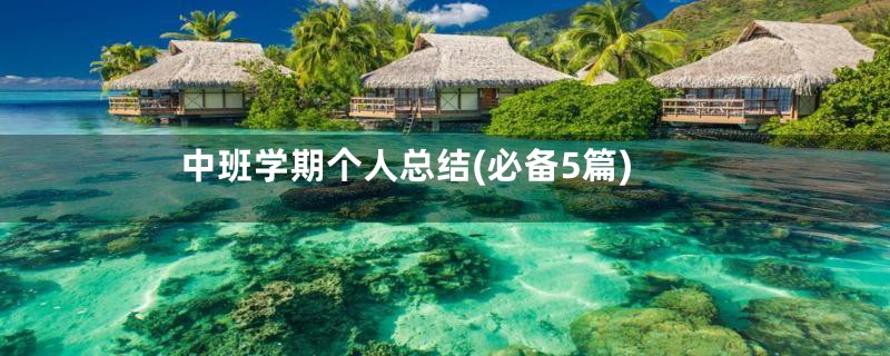 中班学期个人总结(必备5篇)