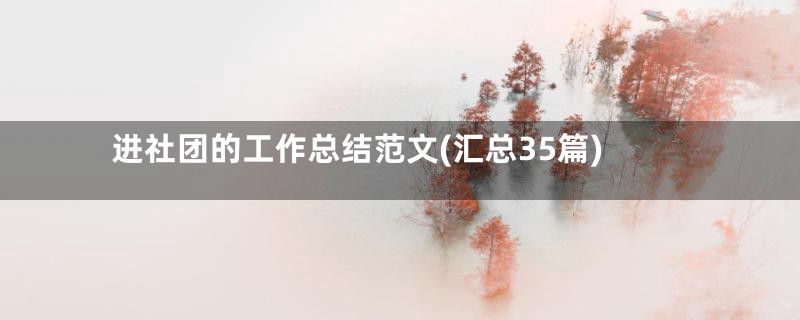 进社团的工作总结范文(汇总35篇)