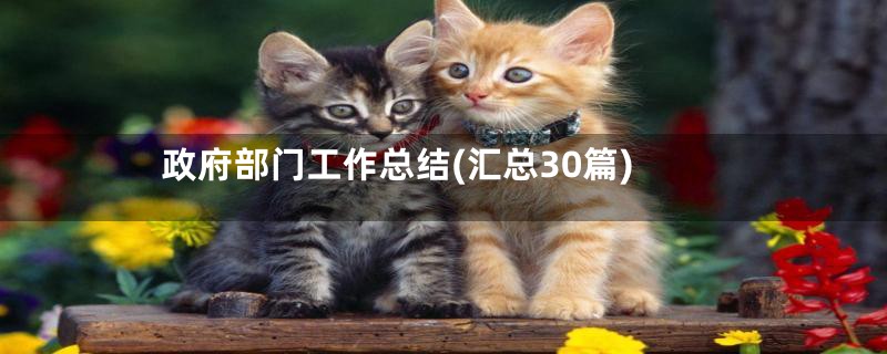 政府部门工作总结(汇总30篇)