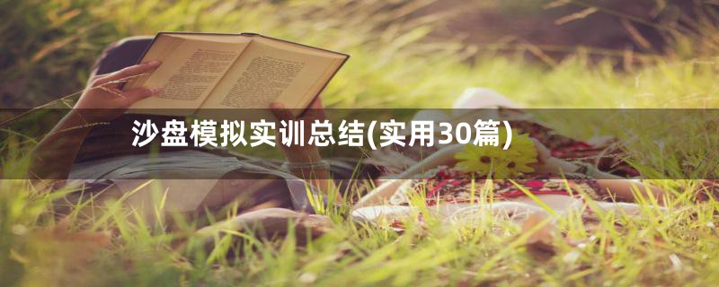 沙盘模拟实训总结(实用30篇)