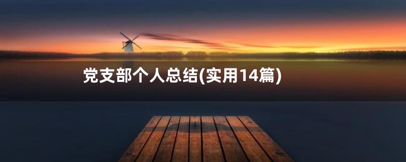 党支部个人总结(实用14篇)