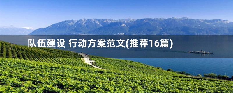 队伍建设 行动方案范文(推荐16篇)