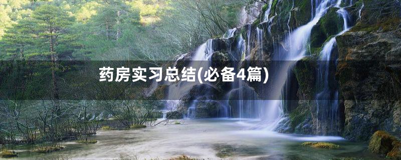 药房实习总结(必备4篇)