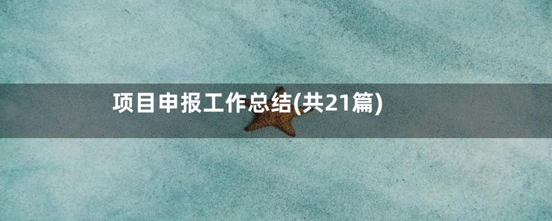 项目申报工作总结(共21篇)