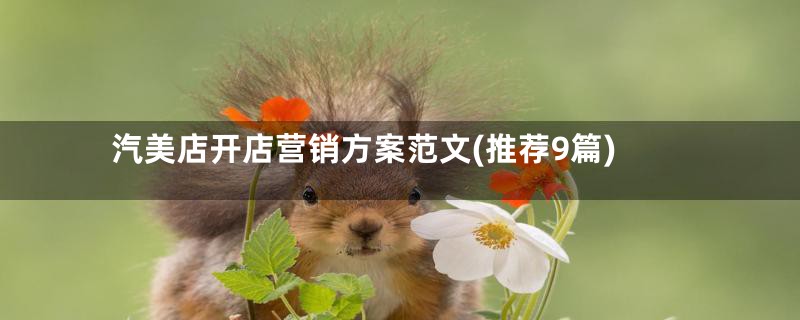 汽美店开店营销方案范文(推荐9篇)