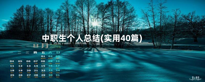 中职生个人总结(实用40篇)