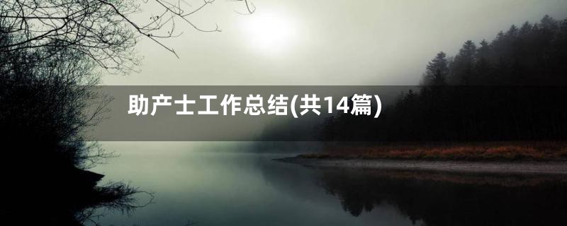 助产士工作总结(共14篇)