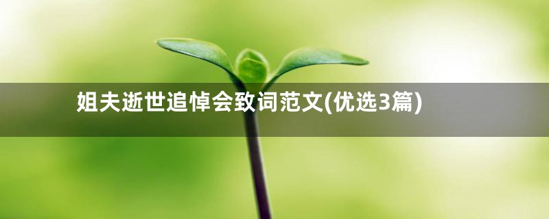 姐夫逝世追悼会致词范文(优选3篇)
