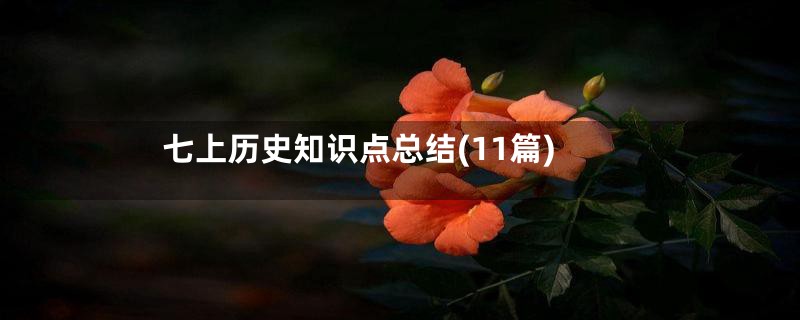 七上历史知识点总结(11篇)