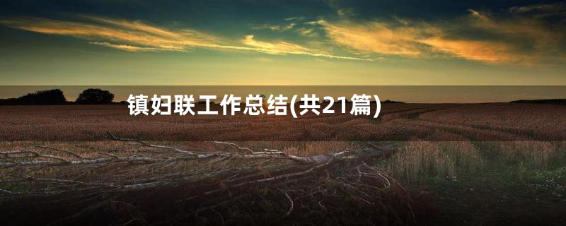 镇妇联工作总结(共21篇)