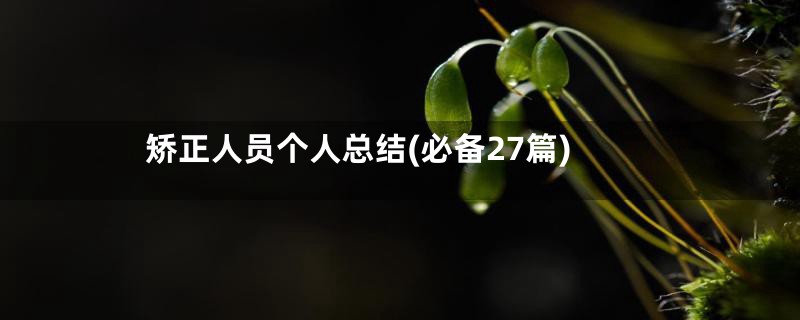 矫正人员个人总结(必备27篇)