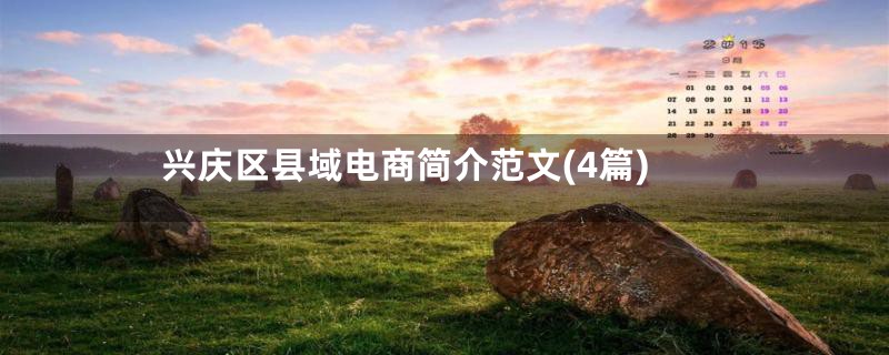 兴庆区县域电商简介范文(4篇)