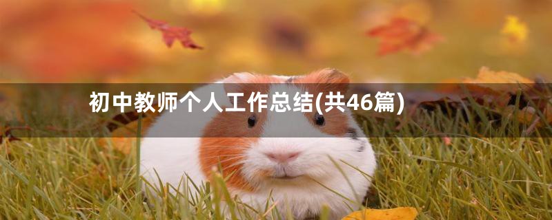 初中教师个人工作总结(共46篇)