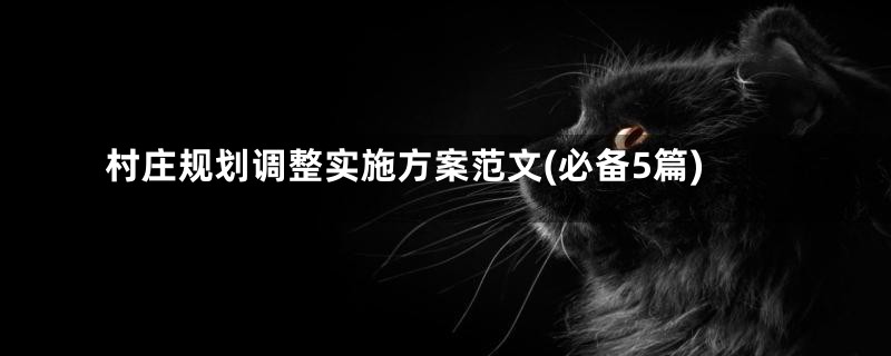 村庄规划调整实施方案范文(必备5篇)