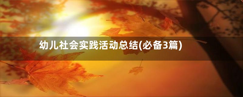 幼儿社会实践活动总结(必备3篇)