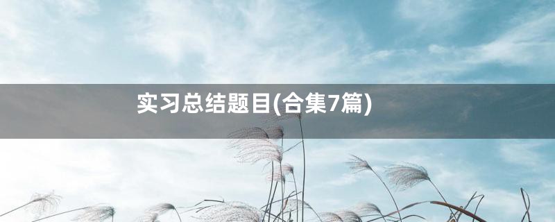 实习总结题目(合集7篇)