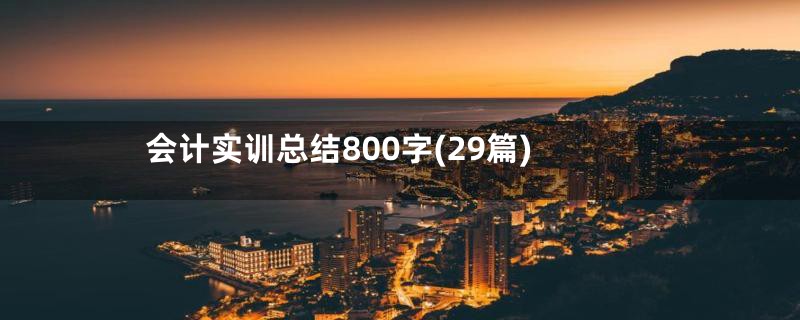 会计实训总结800字(29篇)
