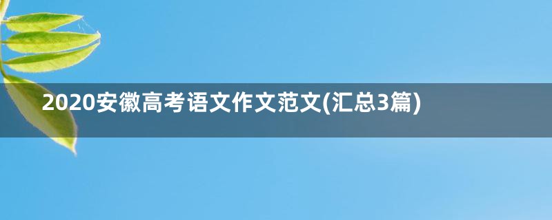 2020安徽高考语文作文范文(汇总3篇)