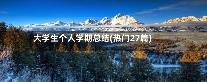 大学生个人学期总结(热门27篇)