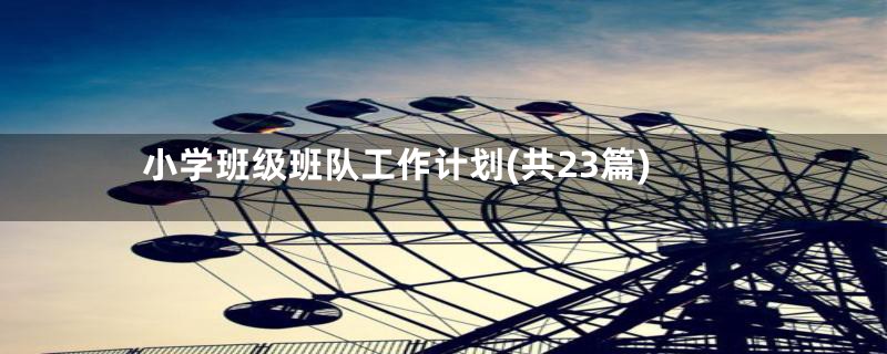 小学班级班队工作计划(共23篇)