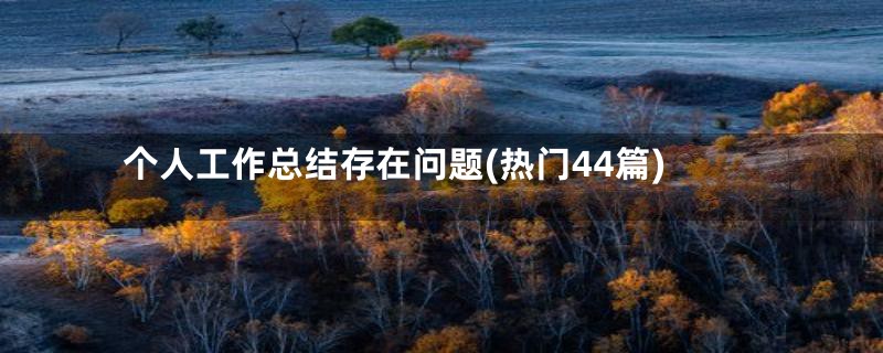 个人工作总结存在问题(热门44篇)