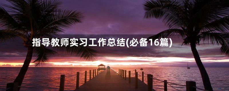 指导教师实习工作总结(必备16篇)