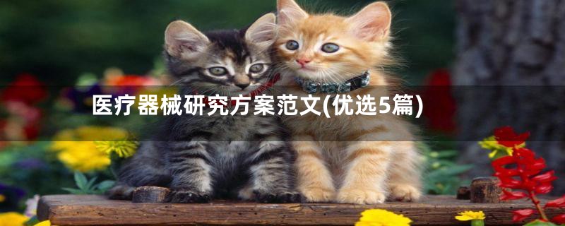 医疗器械研究方案范文(优选5篇)