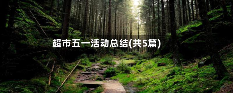 超市五一活动总结(共5篇)