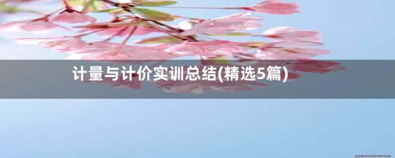 计量与计价实训总结(精选5篇)