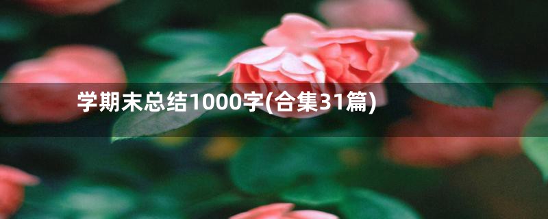 学期末总结1000字(合集31篇)