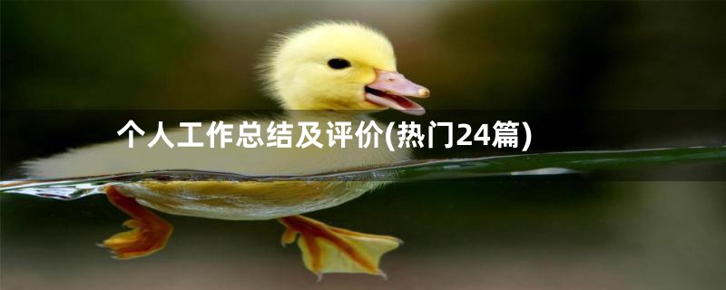 个人工作总结及评价(热门24篇)