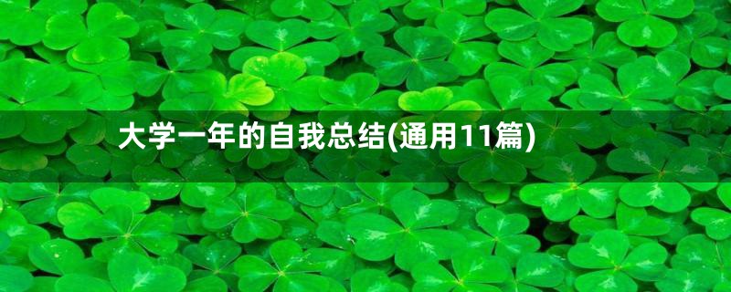 大学一年的自我总结(通用11篇)