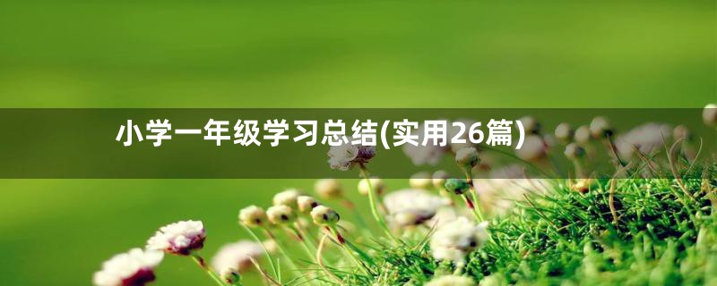 小学一年级学习总结(实用26篇)
