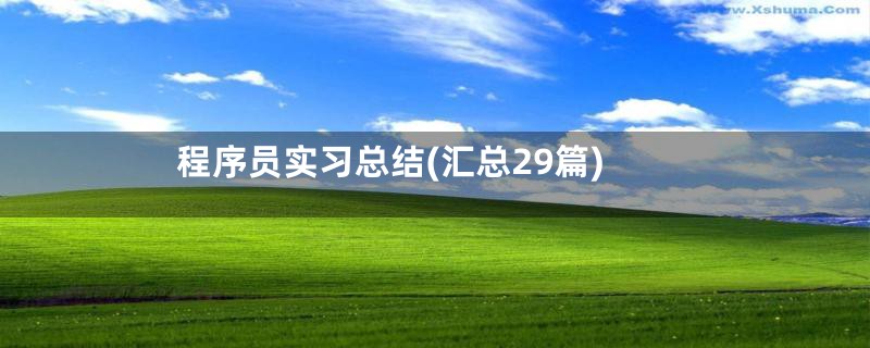程序员实习总结(汇总29篇)