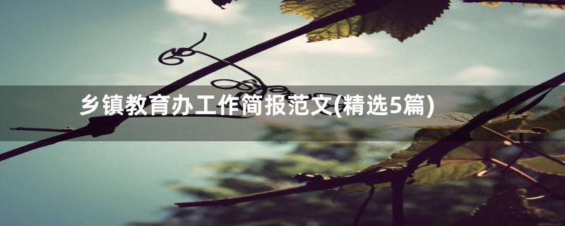 乡镇教育办工作简报范文(精选5篇)