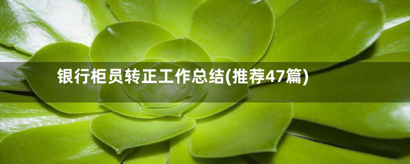 银行柜员转正工作总结(推荐47篇)