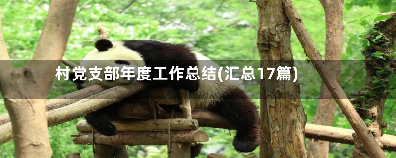 村党支部年度工作总结(汇总17篇)