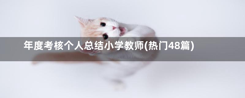 年度考核个人总结小学教师(热门48篇)