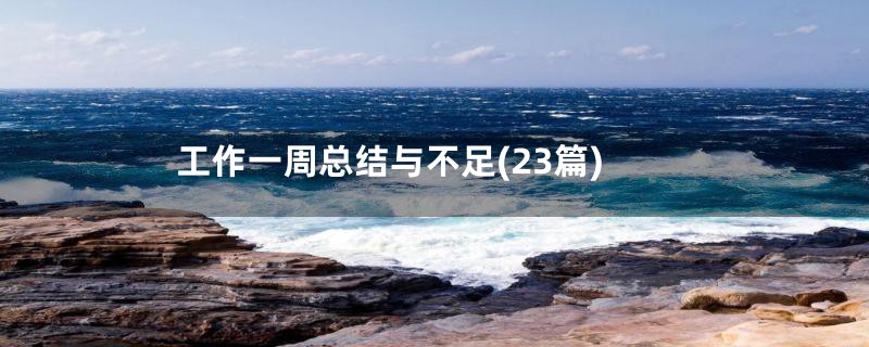 工作一周总结与不足(23篇)