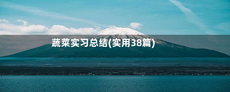 蔬菜实习总结(实用38篇)
