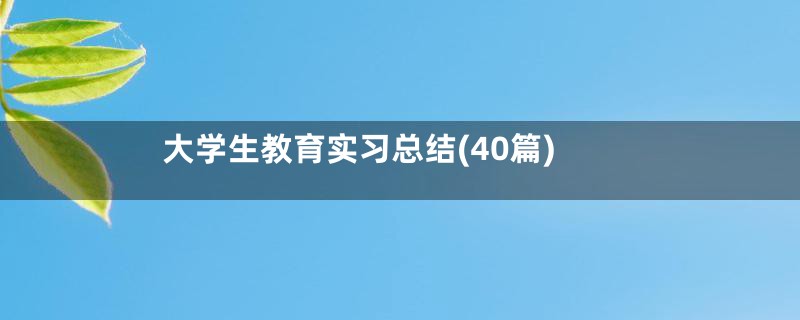 大学生教育实习总结(40篇)
