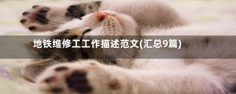 地铁维修工工作描述范文(汇总9篇)