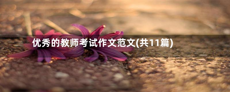 优秀的教师考试作文范文(共11篇)