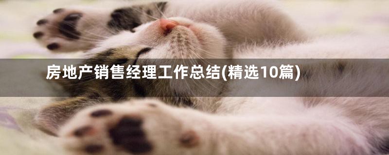 房地产销售经理工作总结(精选10篇)
