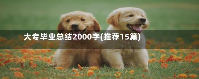 大专毕业总结2000字(推荐15篇)