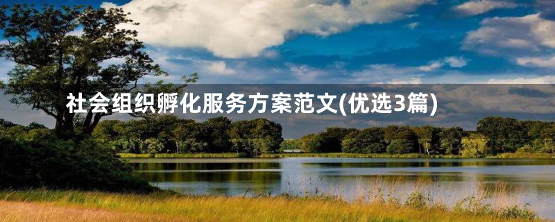 社会组织孵化服务方案范文(优选3篇)