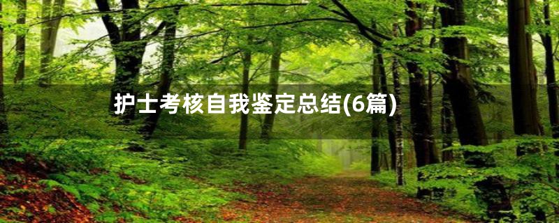 护士考核自我鉴定总结(6篇)